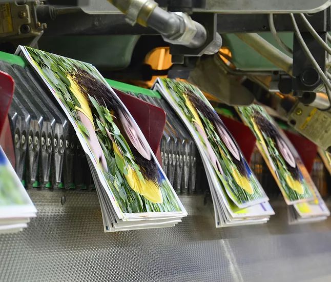 Custom binding and foiling
